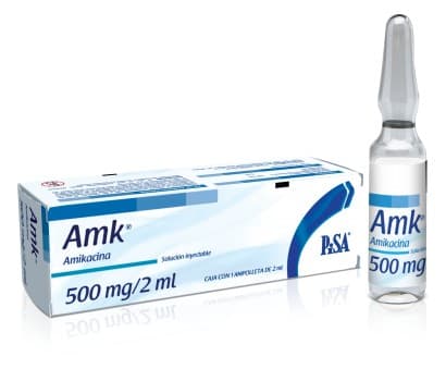 Amk Sol. Iny. C/1 Ampta. 500 Mg/2 Ml.