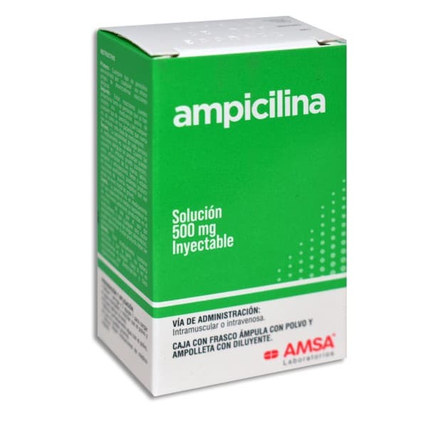 Ampicilina (amsa) Sol. Iny. C/1 Fco. Amp. 500 Mg/2 Ml.