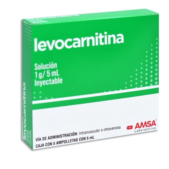 Levocarnitina (amsa) Sol. Iny. C/5 Amptas. 1 G/5 Ml.