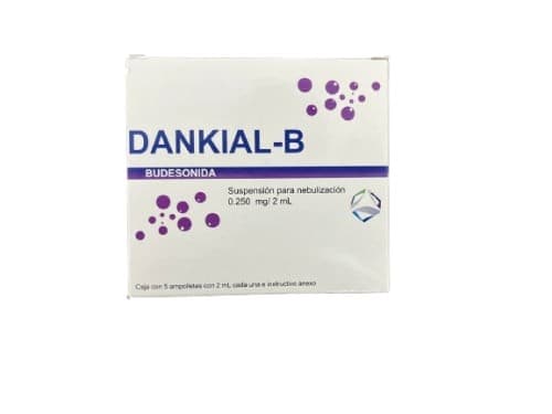 Dankial-b Susp. P/nebn. C/5 Amptas. 0.250 Mg/2 Ml.